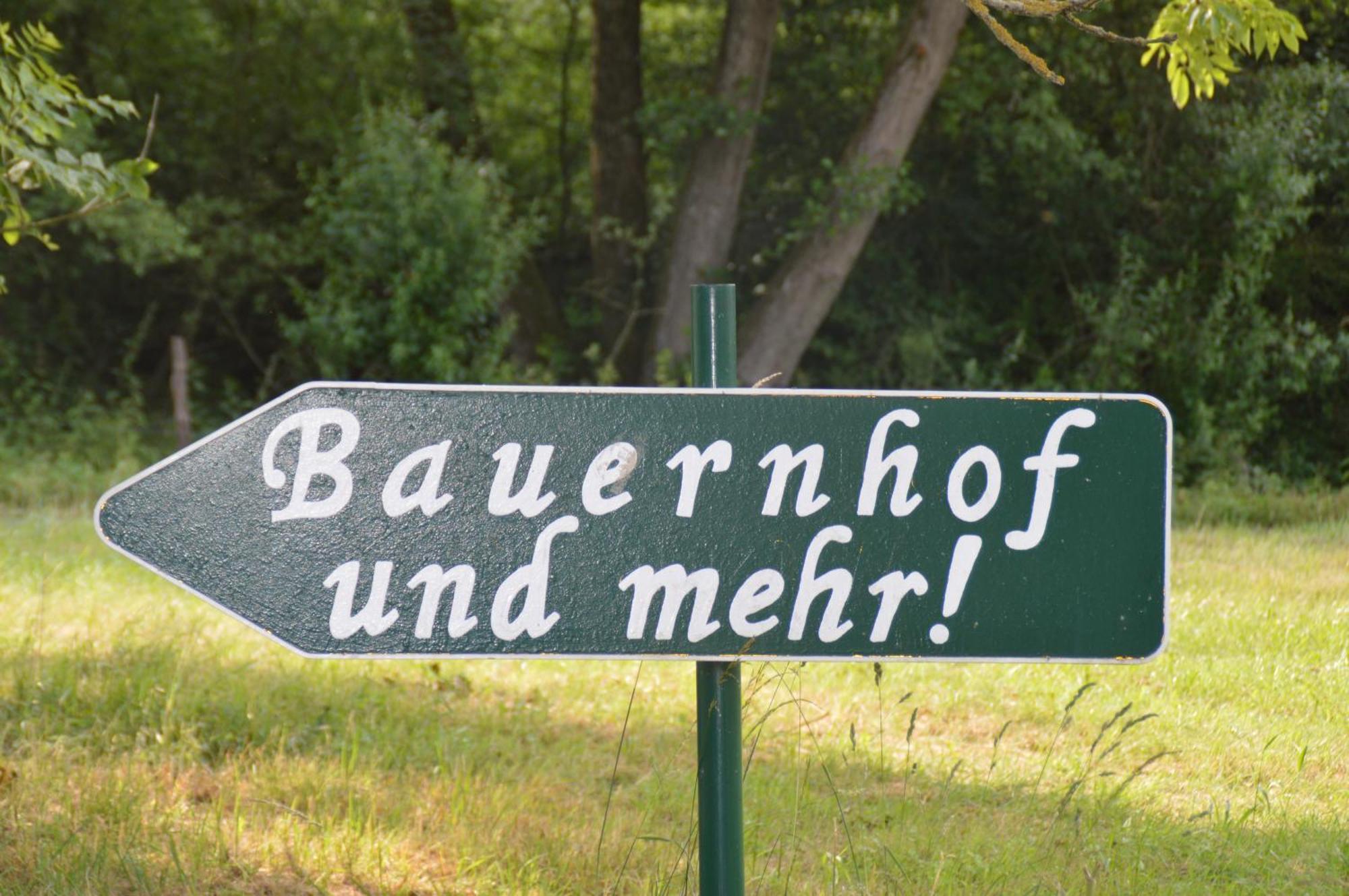 Kleine Einzigartige Ferienwohnung Auf Dem Bauernhof, Direkt In Der Natur Mit Blick Auf Schloss Braunfels Exterior foto