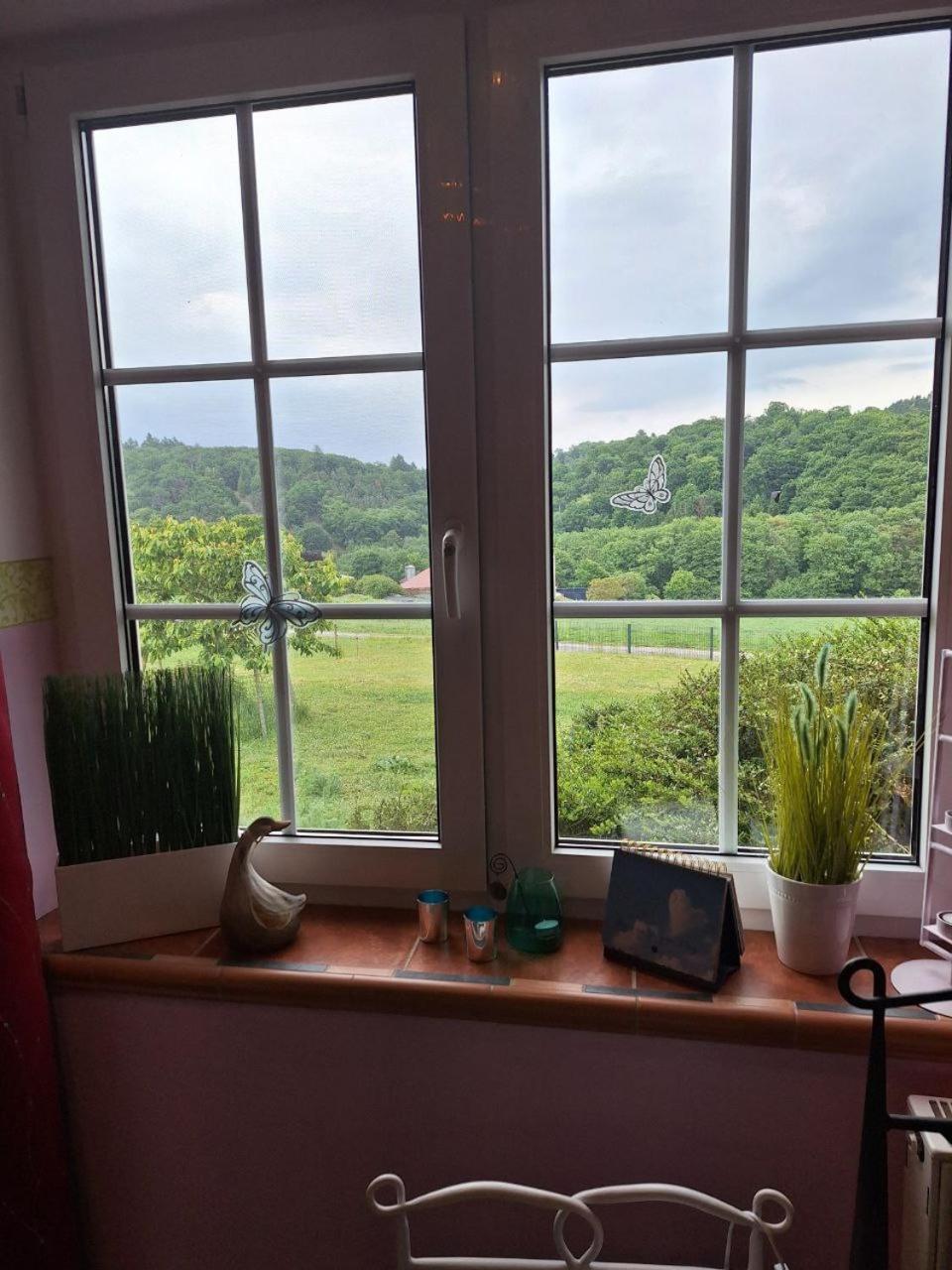 Kleine Einzigartige Ferienwohnung Auf Dem Bauernhof, Direkt In Der Natur Mit Blick Auf Schloss Braunfels Exterior foto